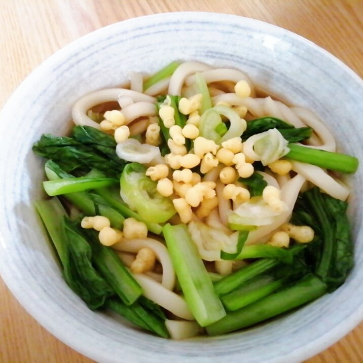 揚げ玉入り☆小松菜とねぎの温うどん